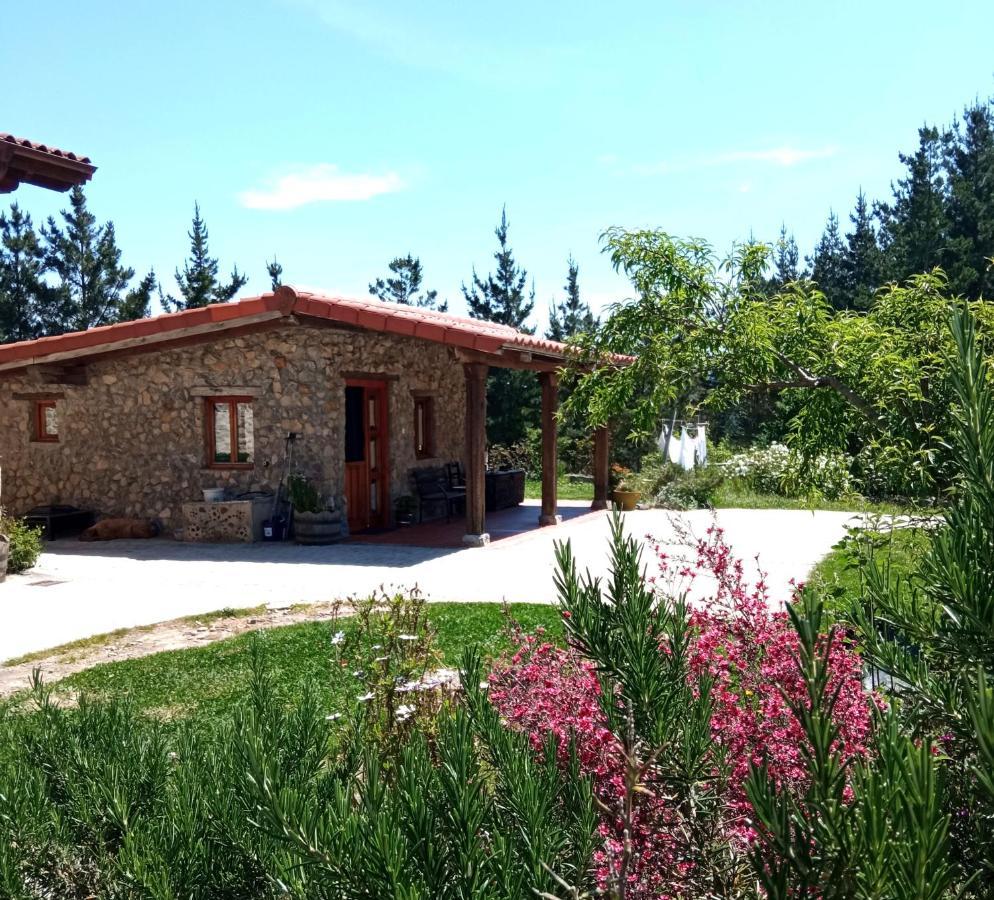 Belaustegi Turismo Rural Ispáster Buitenkant foto